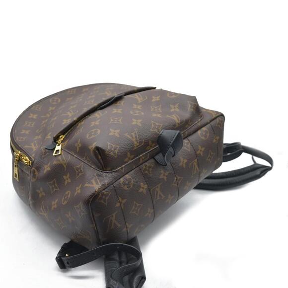2020 Louis Vuitton LV Monogram Palm Springs MM NEW MODEL - Picture 5 of 15
